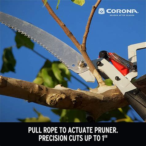 Corona TP 4210 DualLink Tree Saw and Pruner, 10 Feet